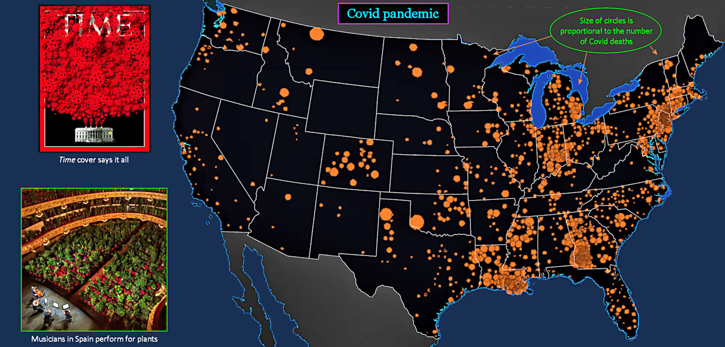 Covid pandemic, 2020 map